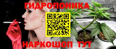 прущие грибы Можайск