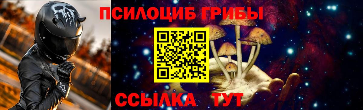 Видное  Псилоцибиновые грибы прущие грибы  Вход с VPN 