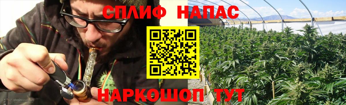 Видное  Каннабис MAZAR  Вход с VPN  Бошки марихуана планчик  Бошки Шишки LSD WEED 